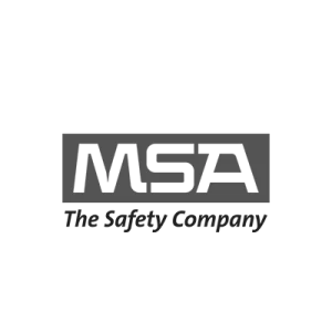 msa